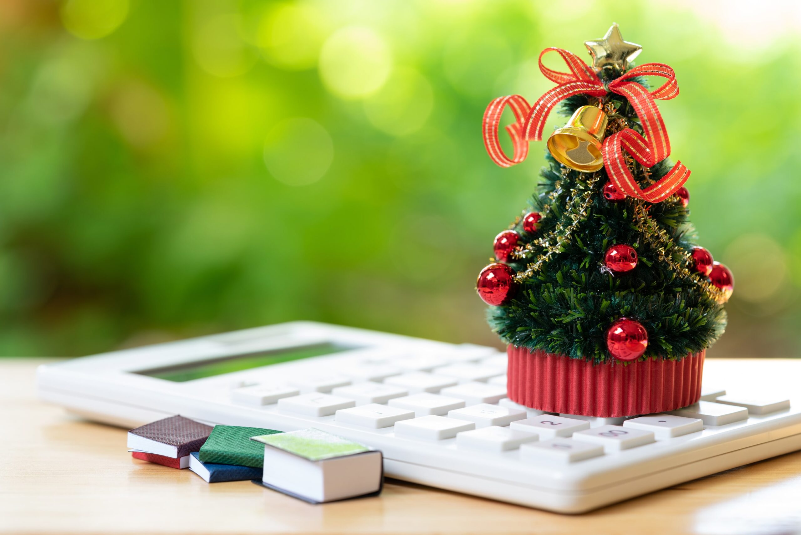 Budget Breakdown and Cost Estimates